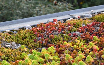 the cost of Boveridge green roof installation