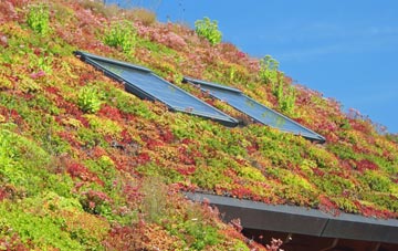 Boveridge living roof systems